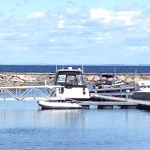 Meet your Posher, Sonny